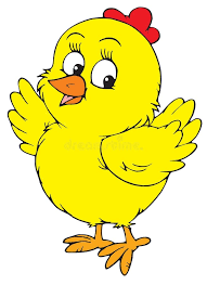 a chick